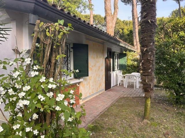 Villaggio Azzurro Lido di Jesolo Ngoại thất bức ảnh